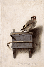 Het puttertje van carel Fabritius